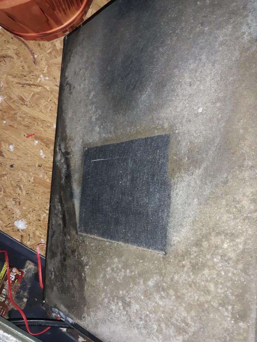 Frozen AC Coil Repair in Phenix City, AL
